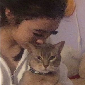 Selling a toad (this is for transferring money)